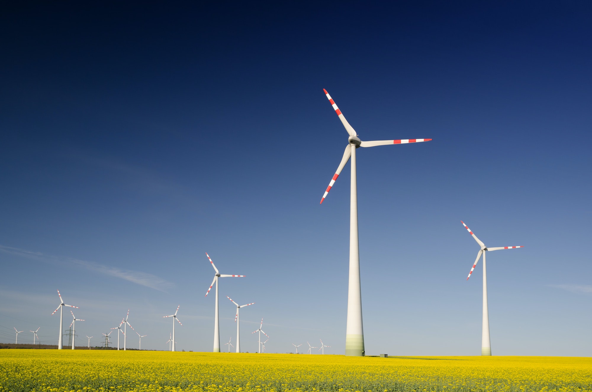wind turbines in field clear blue sky